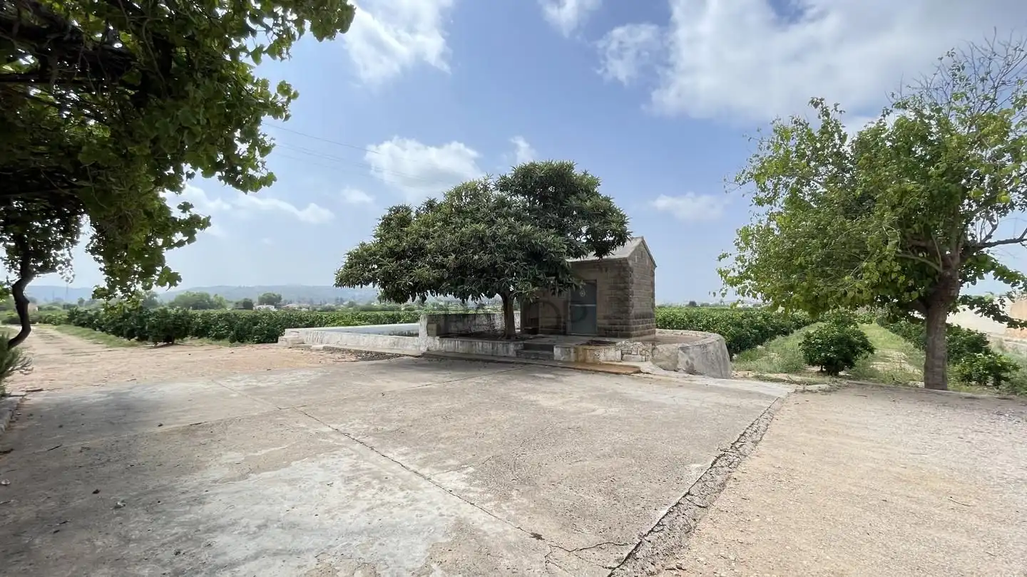 Finca rústica en venda en Alzira