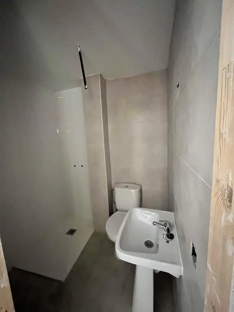 Bathroom of Detached homes for sale in Centro Ciudad