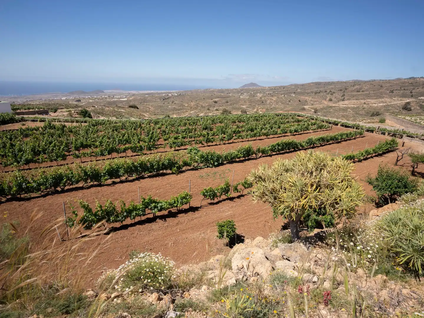 Terreno rustico in vendita a N/A, imagen 18
