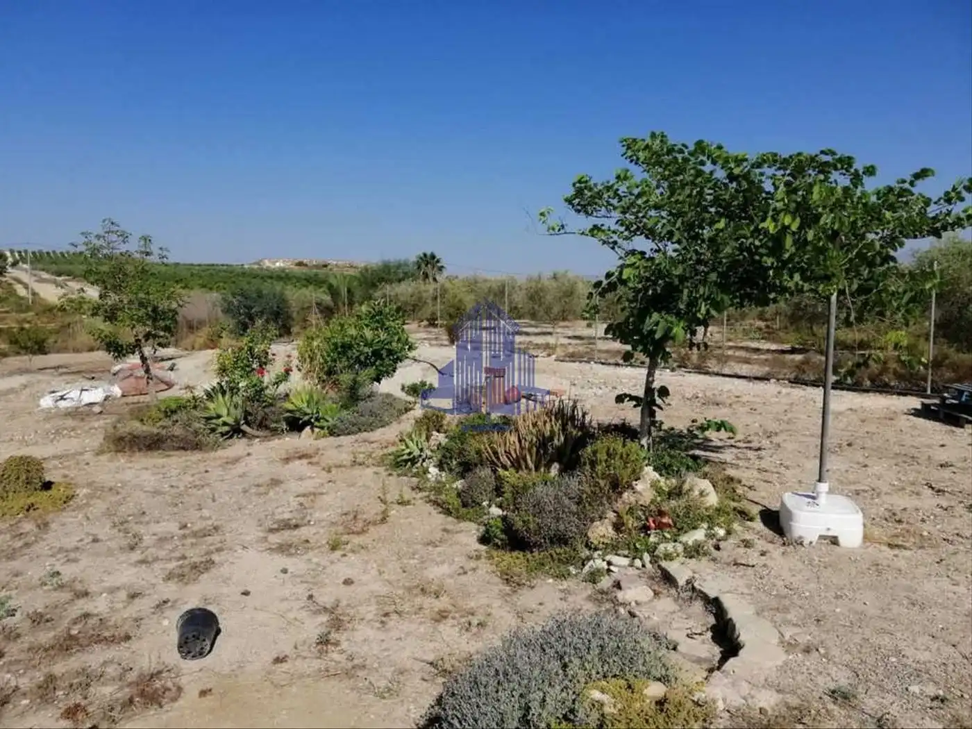 Terreny residencial en venda a Fortuna, imagen 19
