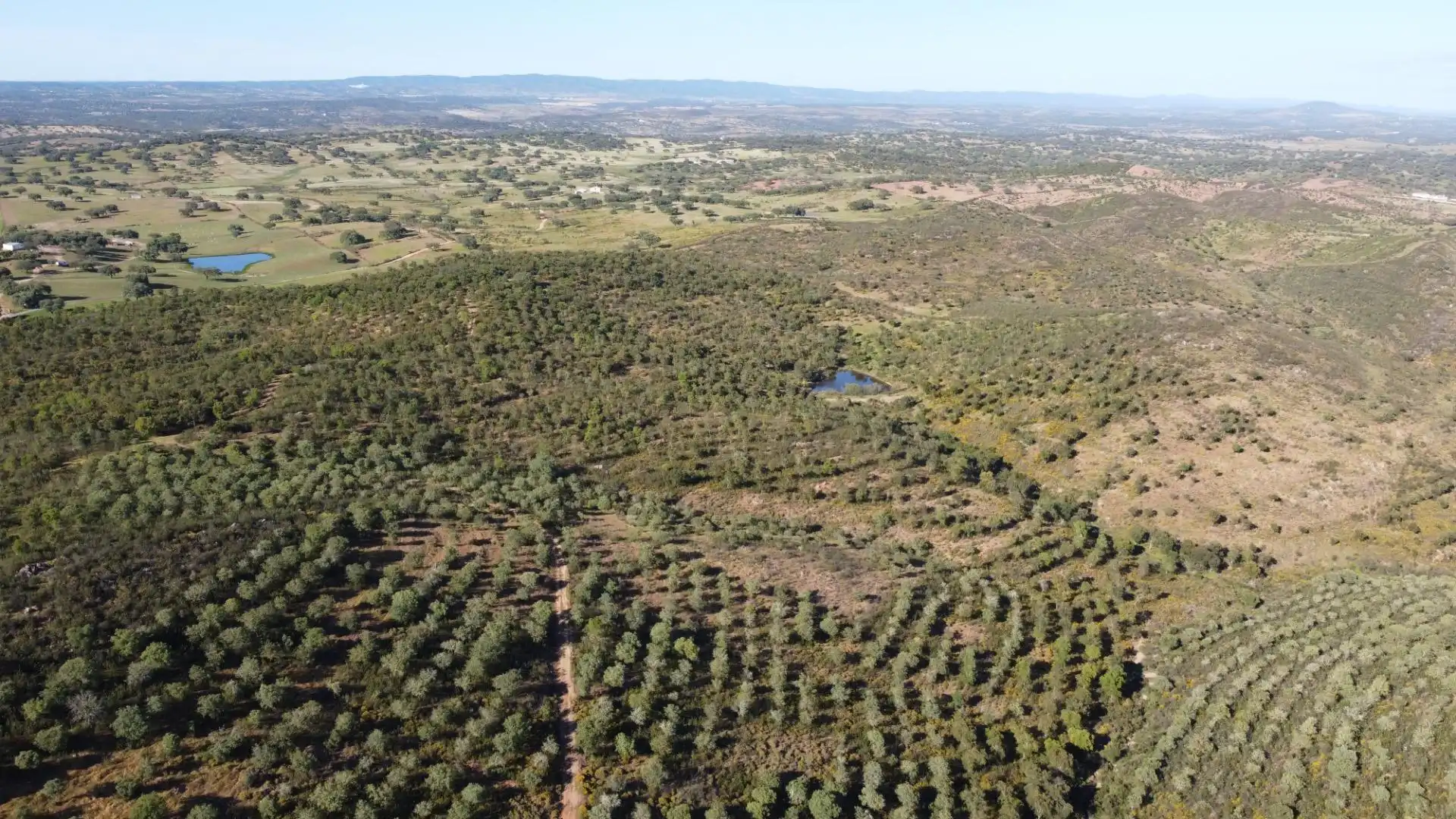 Finca rústica en venda en Puebla de Guzmán amb Jardí privat i Moblat