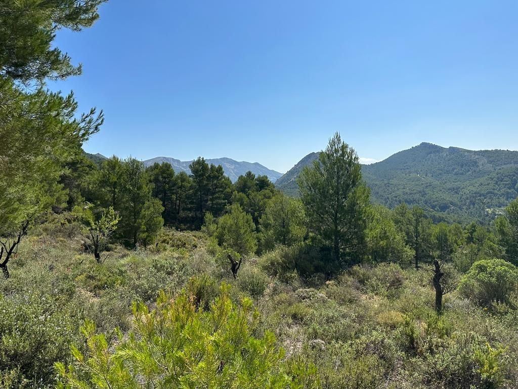 Casa o chalet en venta en Confrides con Jardín privado y Trastero
