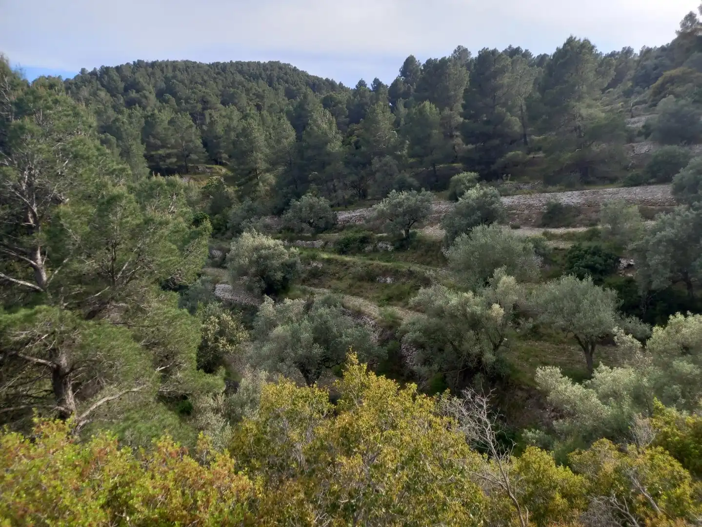 Rural land for sale in El Pinell de Brai, imagen 28