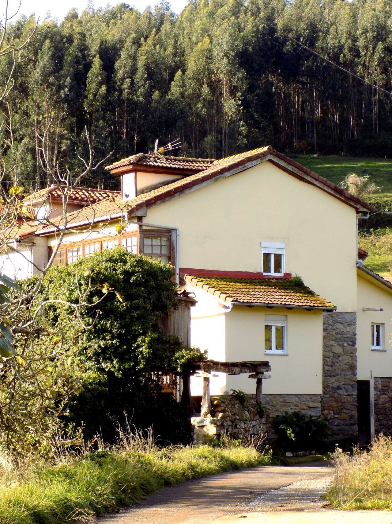 Vista exterior de Casa adosada en venda en Pravia amb Jardí privat, Terrassa i Traster