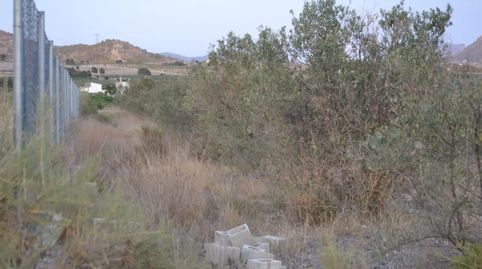 Foto 4 de Finca rústica en venda a Cv-830, 173, Salinas, Alicante