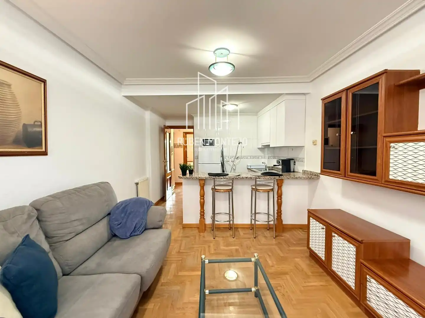 Sala d'estar de Apartament de lloguer en Salamanca amb Calefacció, Terrassa i Moblat
