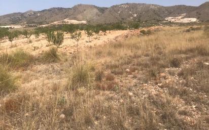 Land for sale in Abanilla