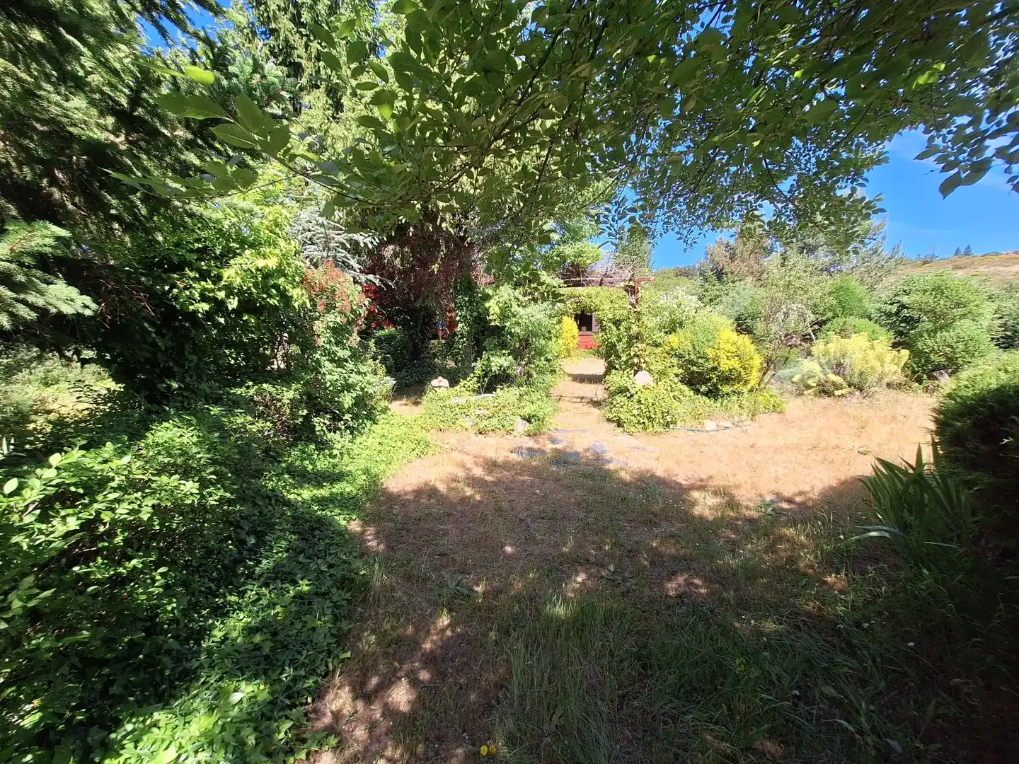 Garden of Houses for sale in Peguerinos