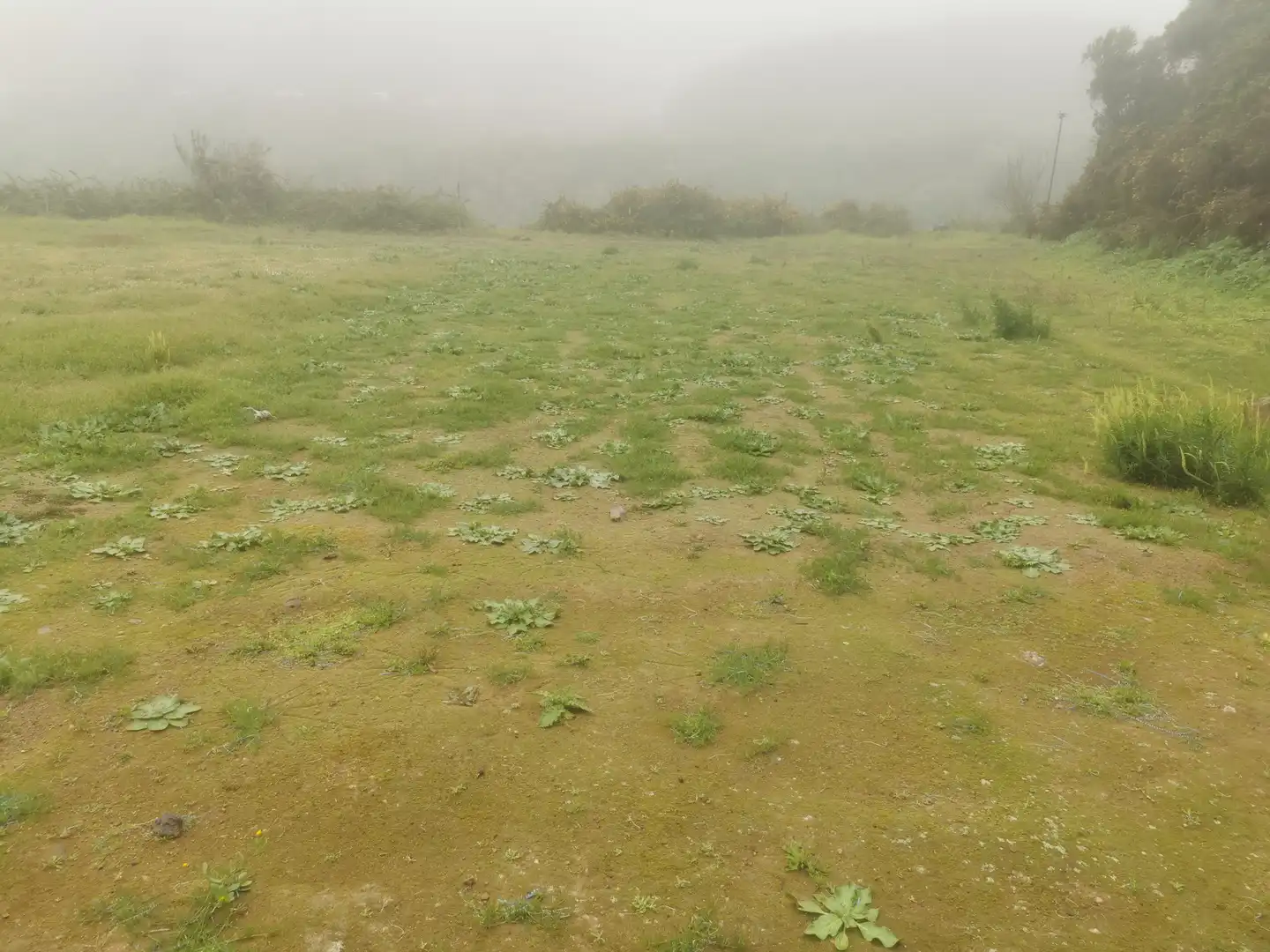 Land for sale in Santa Cruz de Tenerife