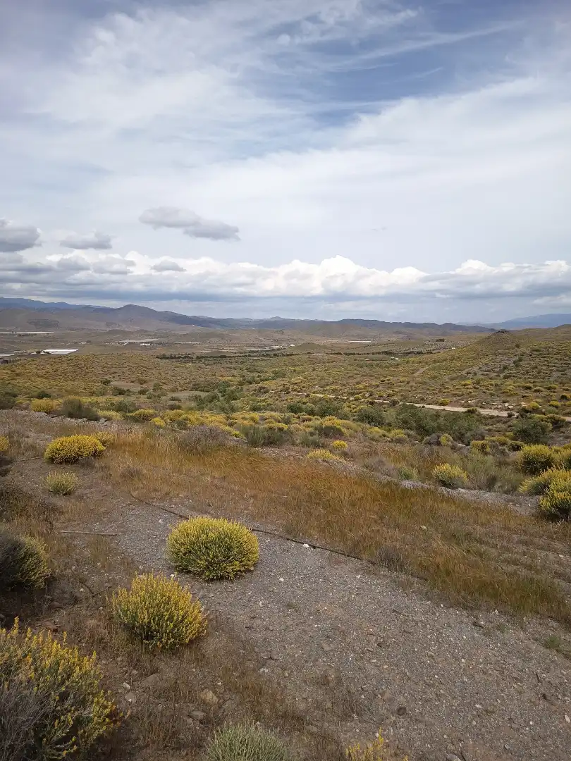 Terreno rustico in vendita a Alboloduy, imagen 23