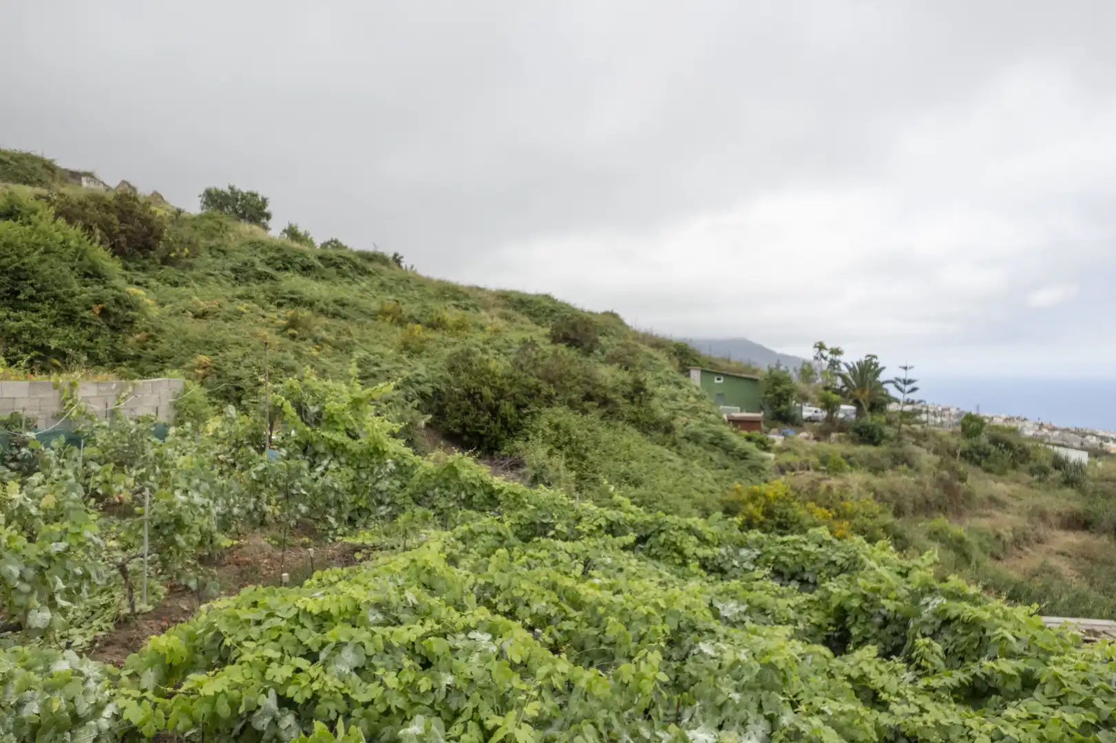 Finca rústica en venta en La Orotava con Jardín privado, Terraza y Trastero