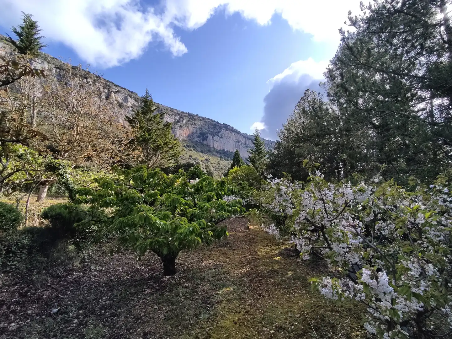 Jardín de Terreno en venta en Ciriza / Ziritza