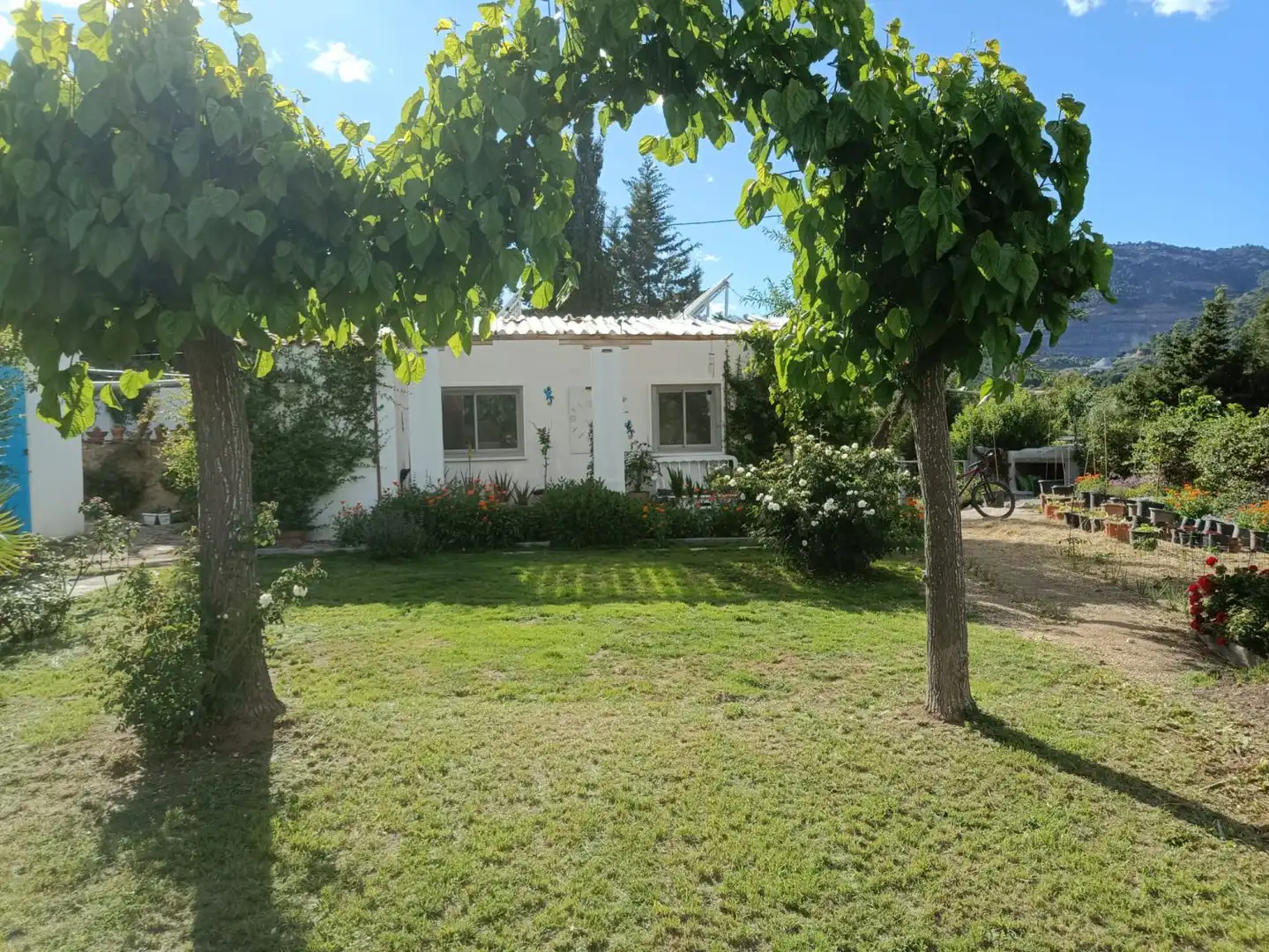 Casa in vendita a Alforja, imagen 4
