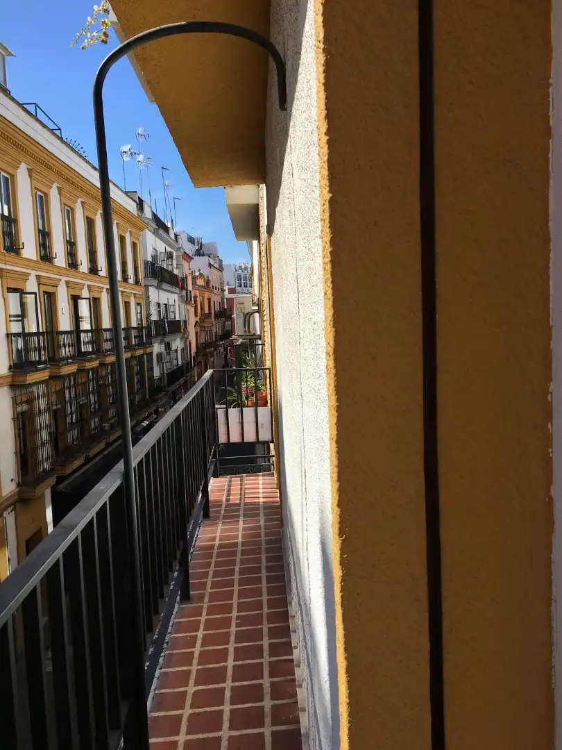 Pis amb terrassa de lloguer a Calle Dean López Cepero, imagen 17