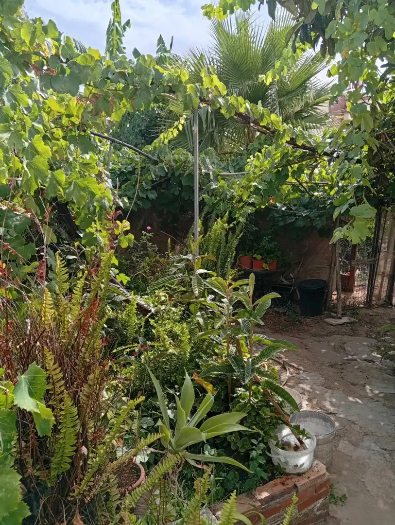 Villa avec jardin à vendre à Ayamonte ciudad, imagen 55