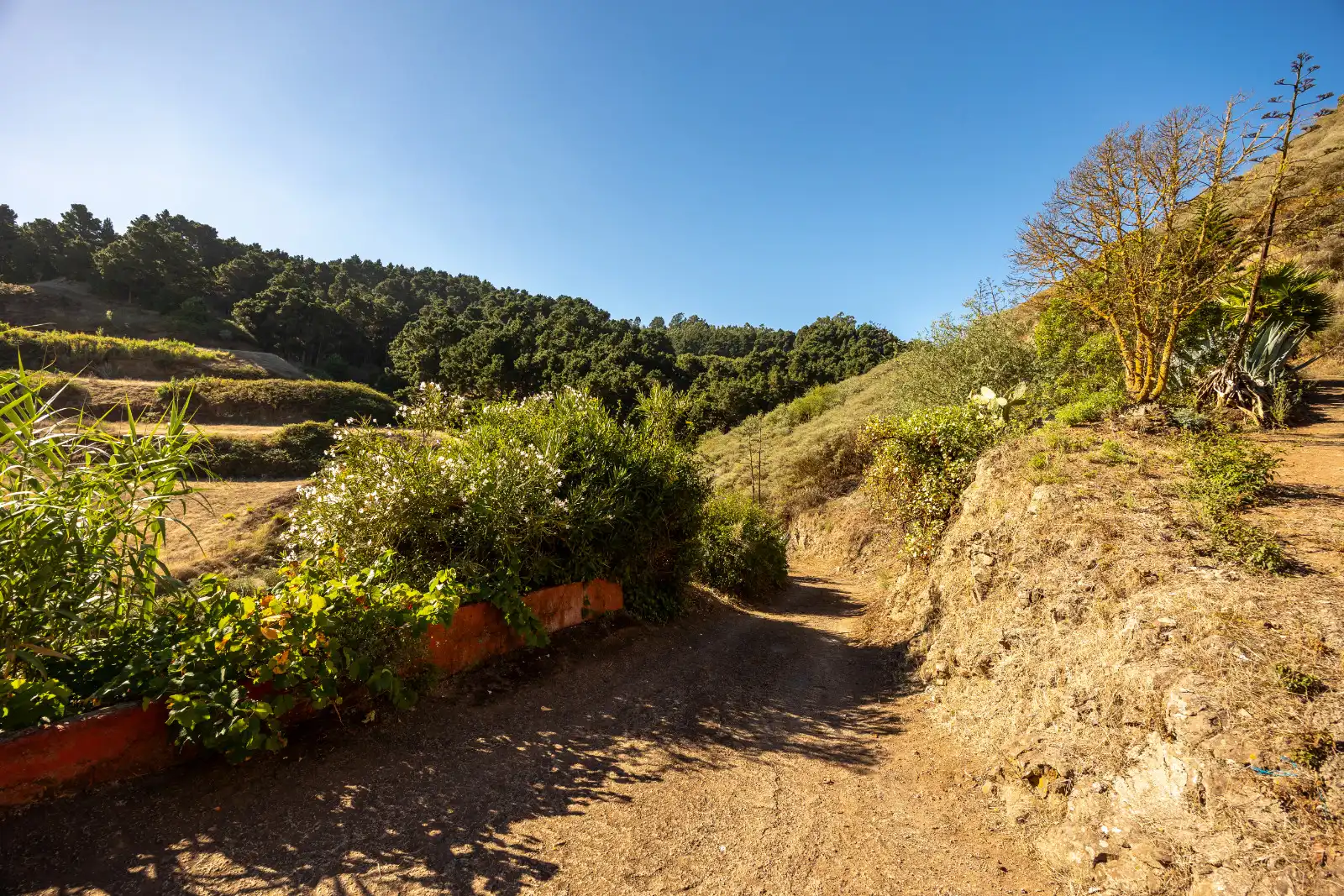 Casa rústica amb jardí en venda a Montaña Alta, imagen 5