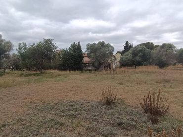 Terreny residencial en venda a Llevant