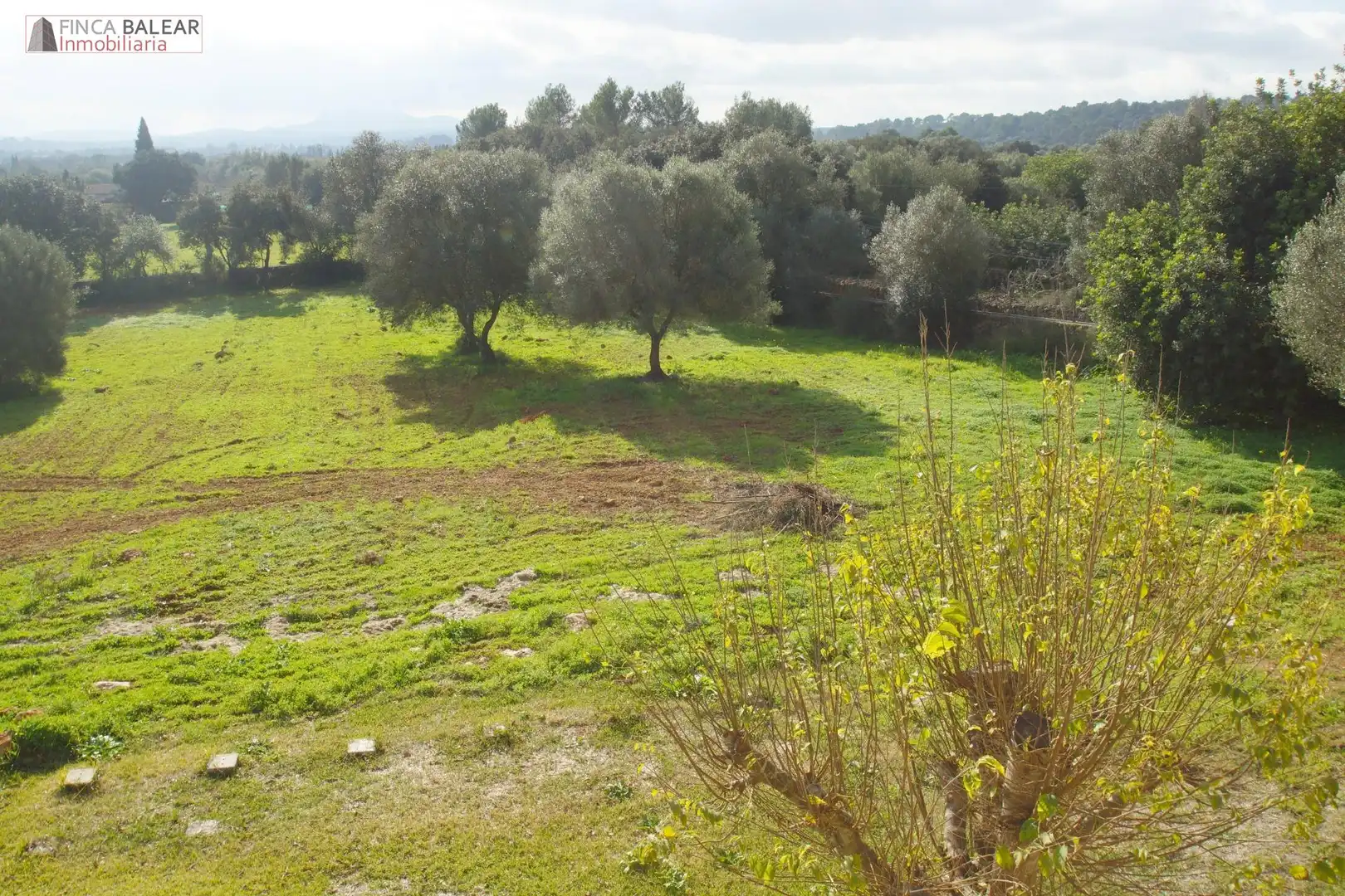 Casa rústica amb jardí de lloguer a Costitx, imagen 26