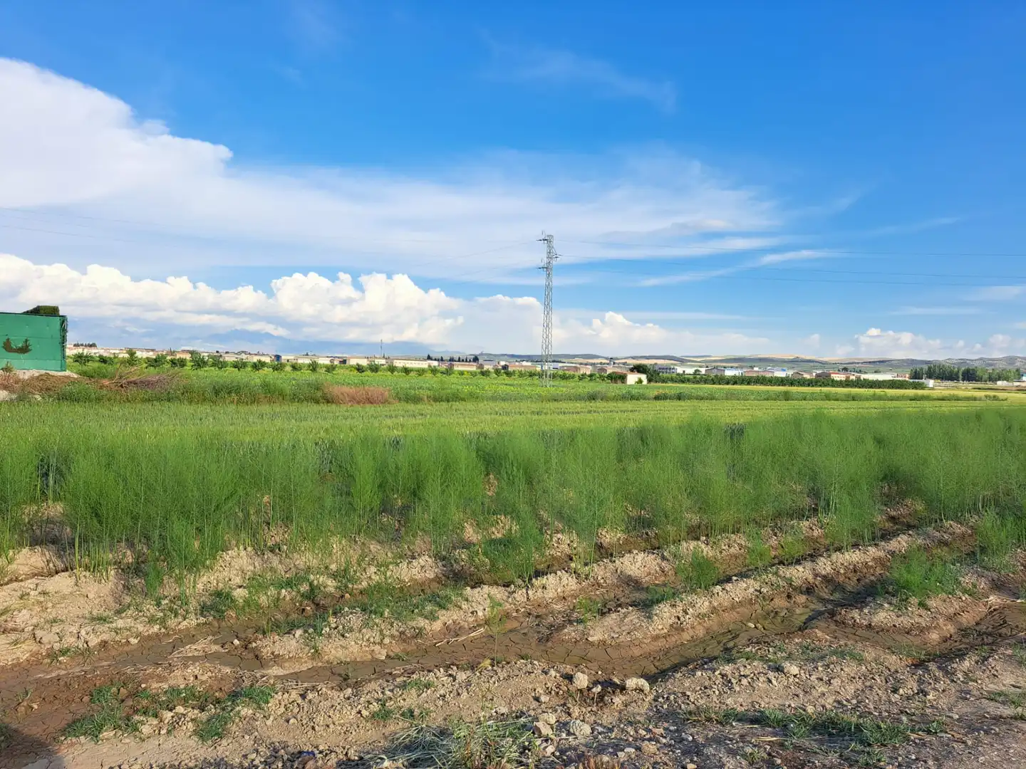 Terreno rústico en venta en Chauchina