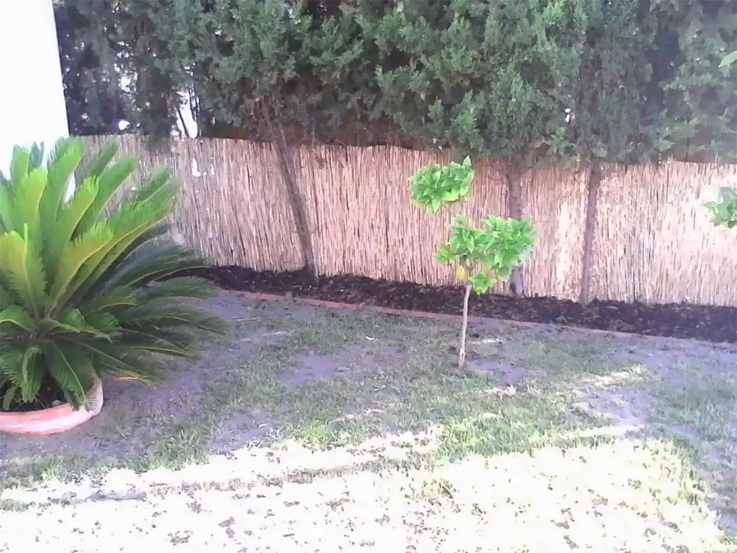 Jardí de Casa o xalet en venda en La Alcaidesa amb Balcó