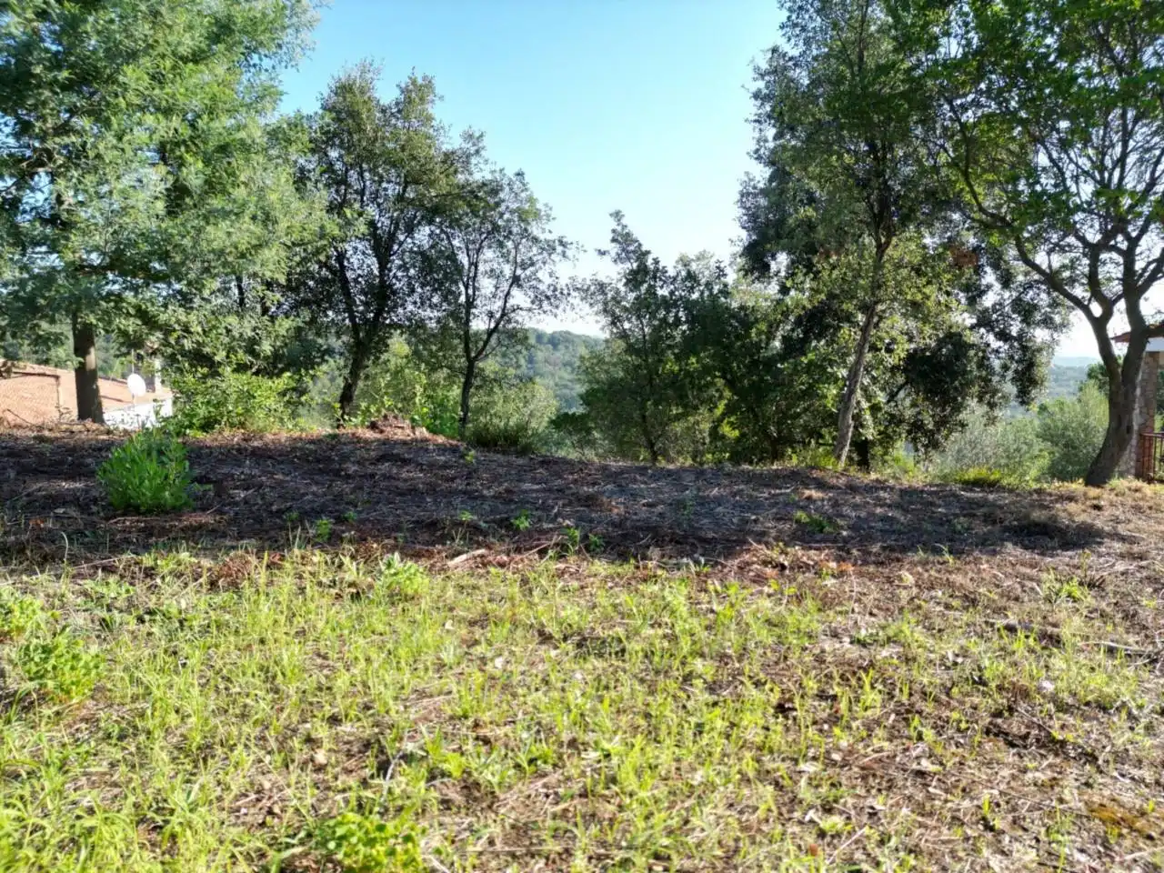 Terrain rustique à vendre à Calle Riells I Viabrea, imagen 6