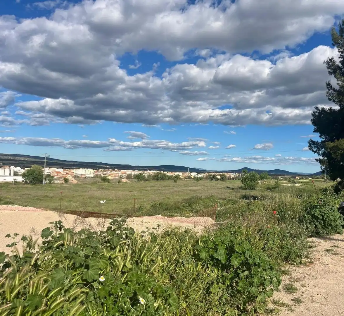 Grundstücke und Bauplätze zum Verkauf in Almansa, imagen 4