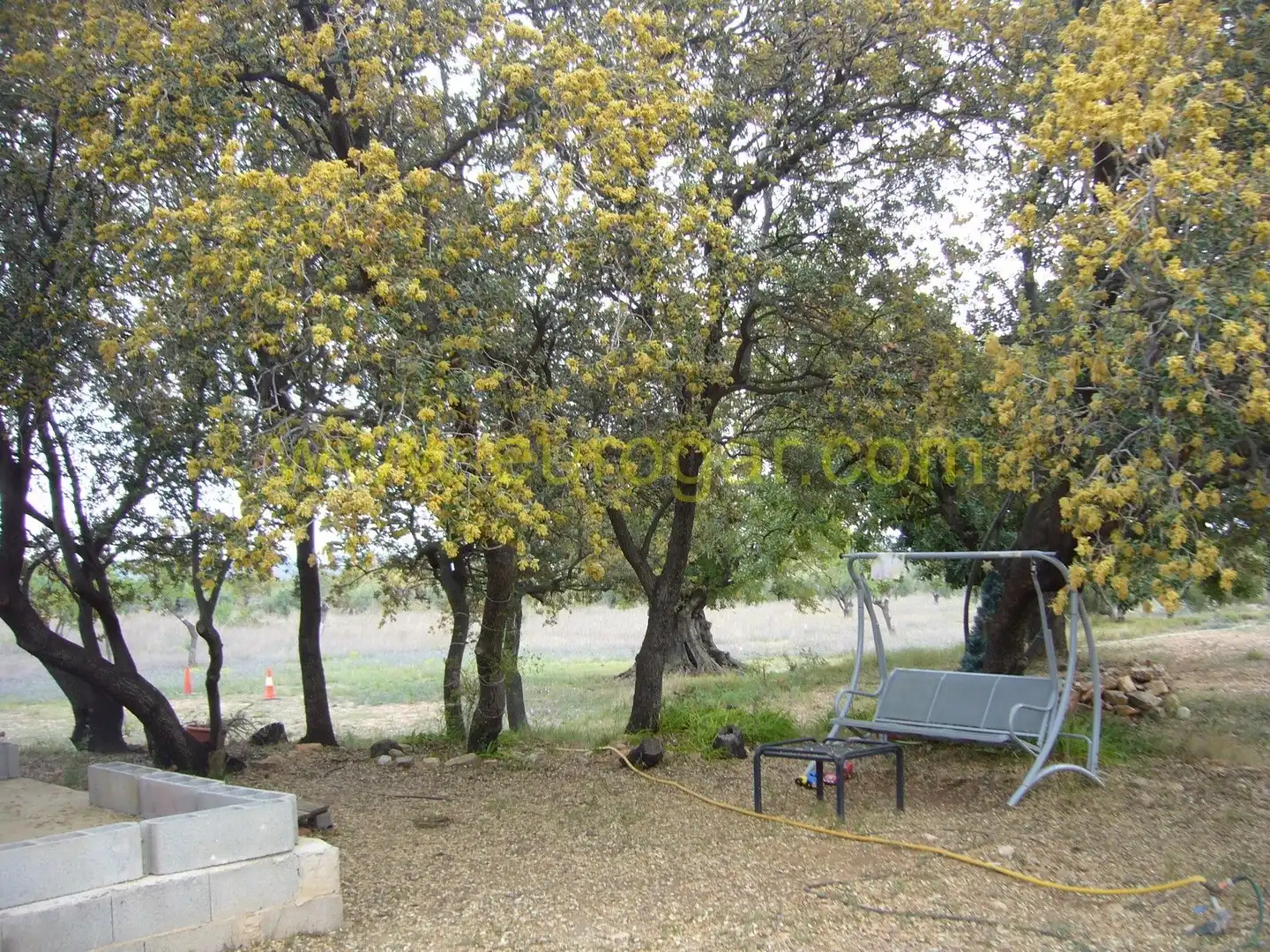 Villa in vendita a Centro, imagen 8