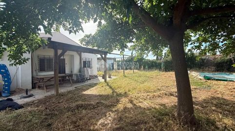 Foto 3 de Finca rústica en venta en Llanoverde, Urb. Los Olivares C/ Pastora 5, Arahal, Sevilla