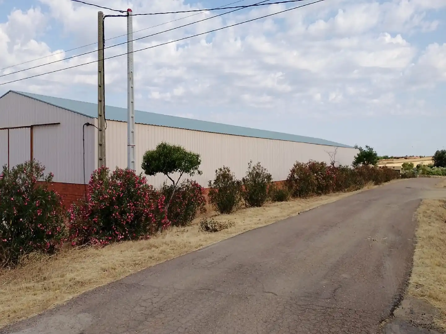 Außenansicht von Fabrikhallen zum Verkauf in Sancti-Spíritus (Badajoz)