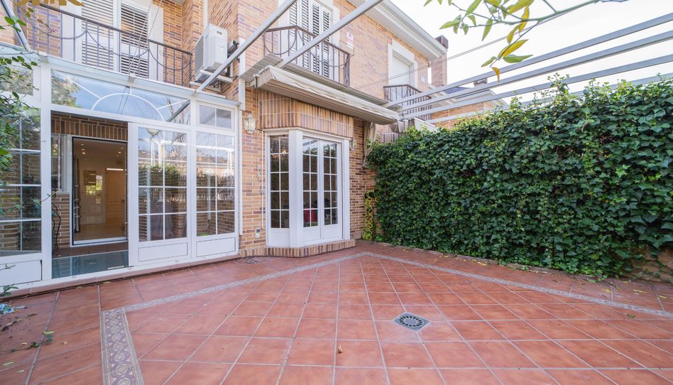 Casa o chalet de alquiler en Calle Juan Ramón Jiménez, 2, Sector B - Imagen 4