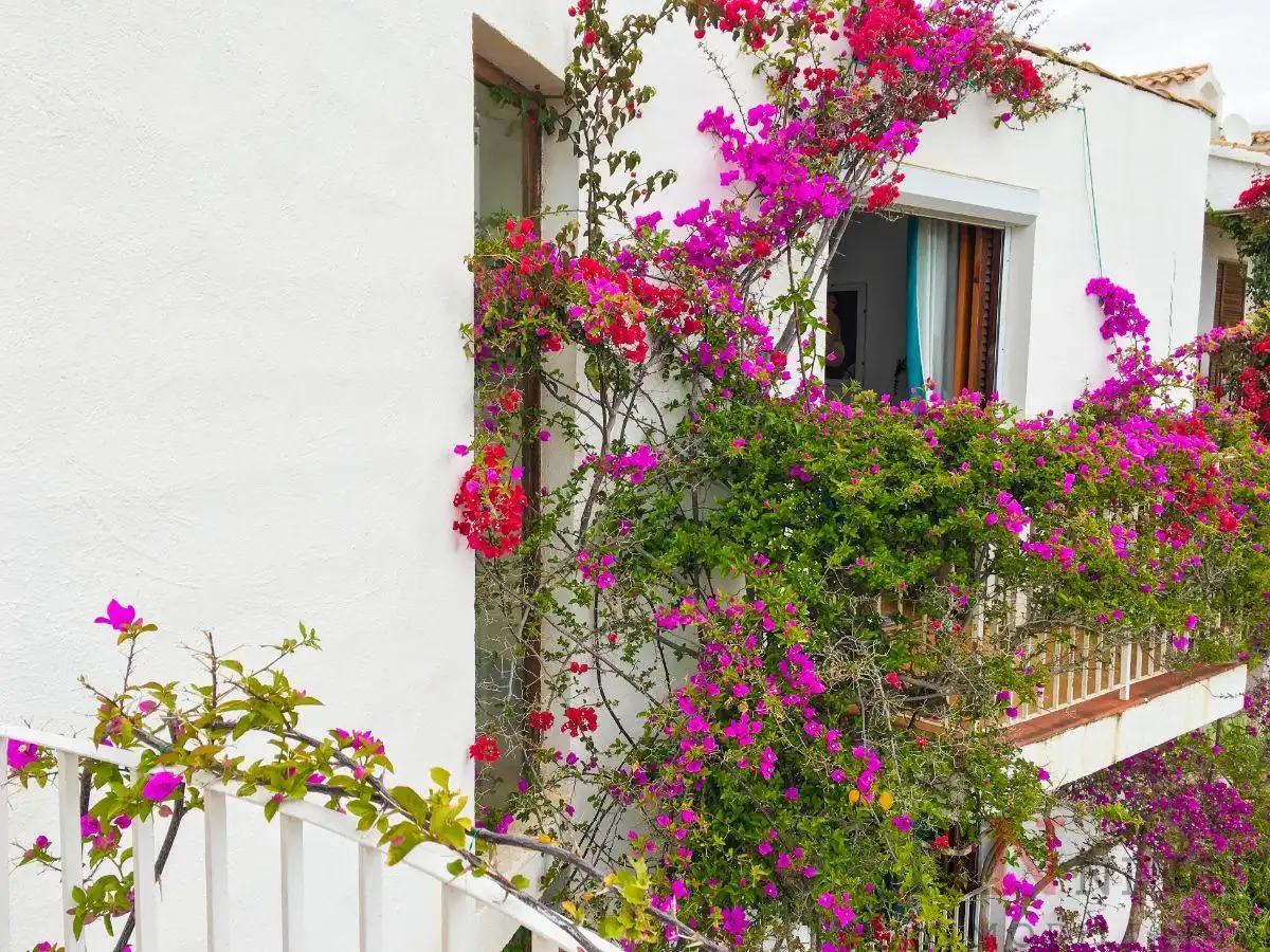 Casa o chalet de alquiler en Urbanizacion Playetas, Voramar