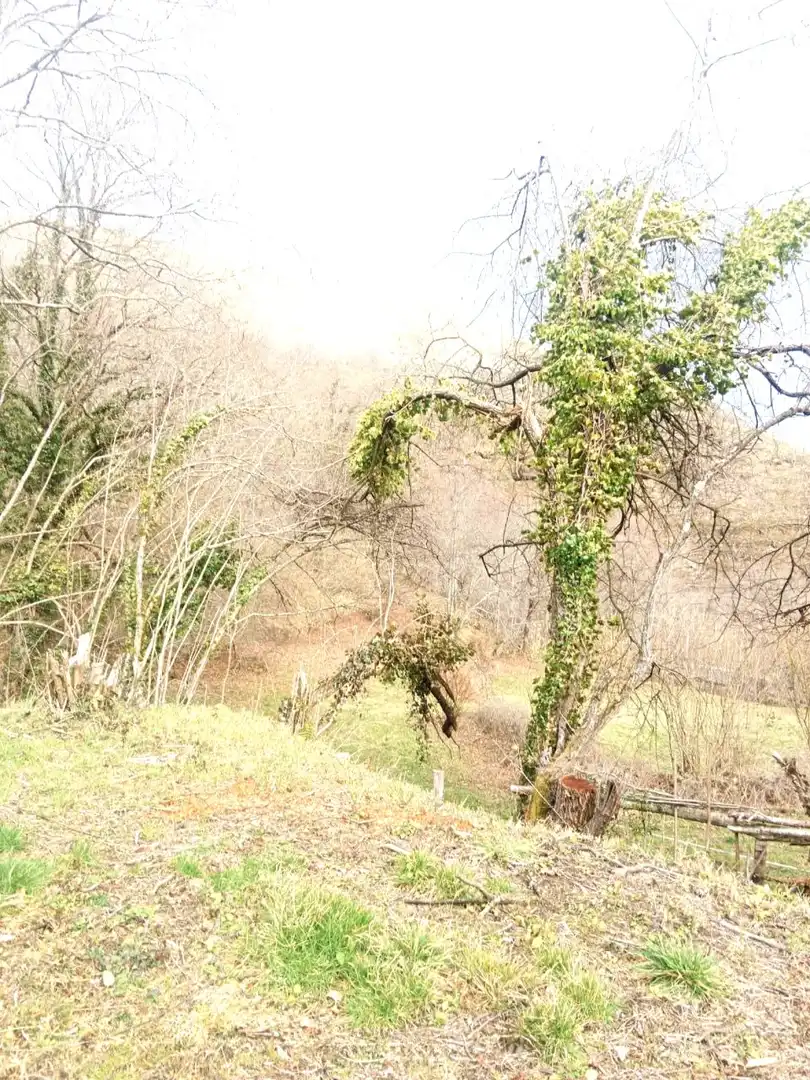 Residential land for sale in San Sebastián de Garabandal - SAN SEBASTIAN DE GARABANDAL 311/312, imagen 3