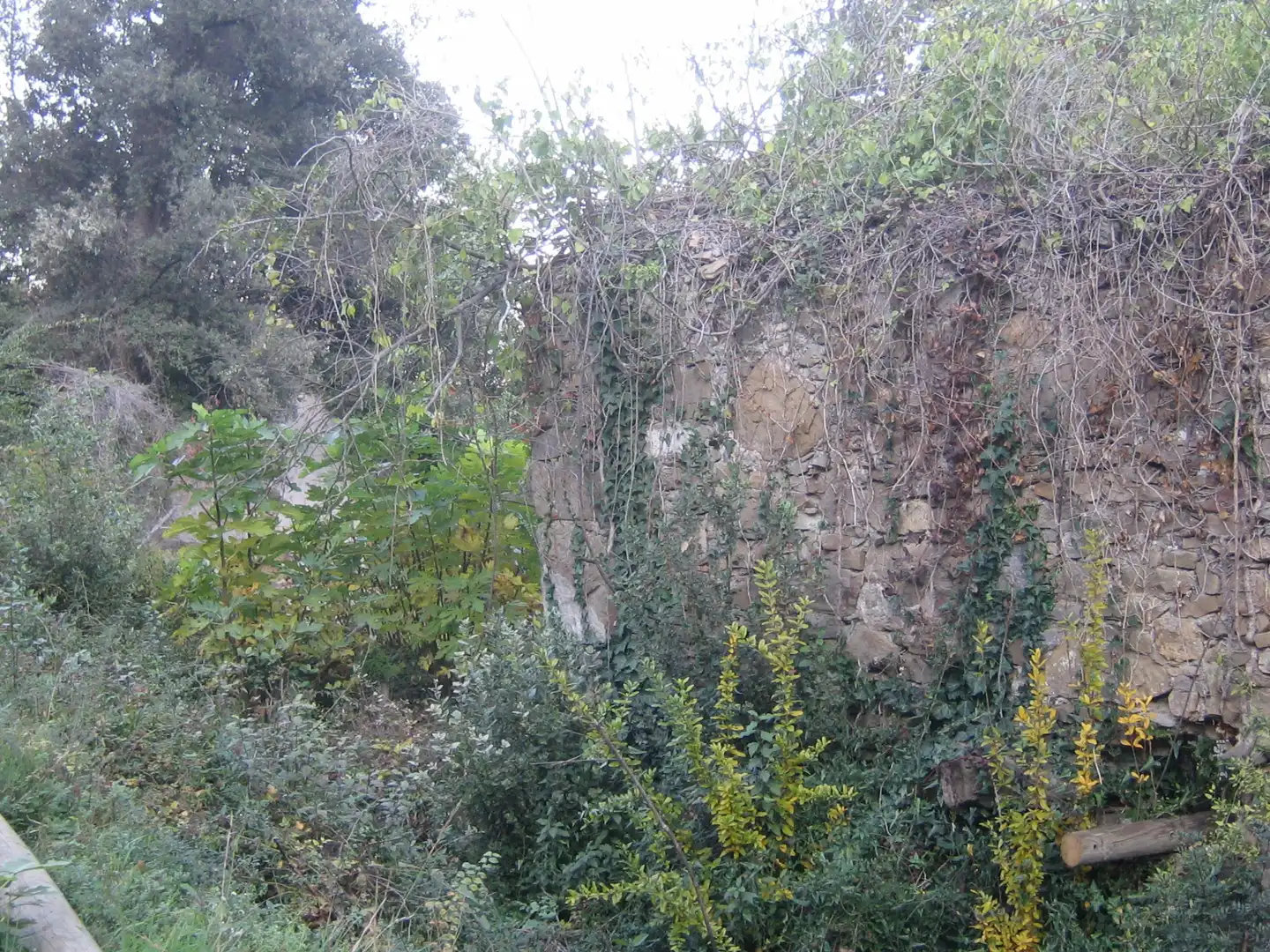 Rural land for sale in Montagut i Oix, imagen 11