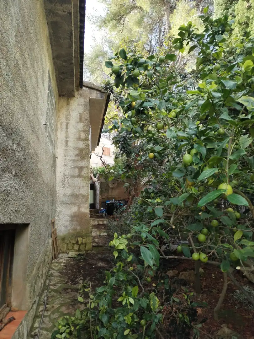 Villa mit Pool zum Verkauf in Calle Isla Columbreta Grande, imagen 5