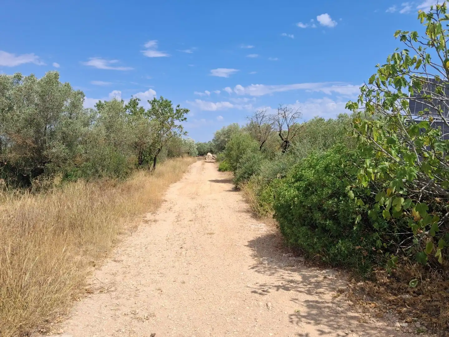 Finca rústica en venda en Tivissa amb Piscina comunitària