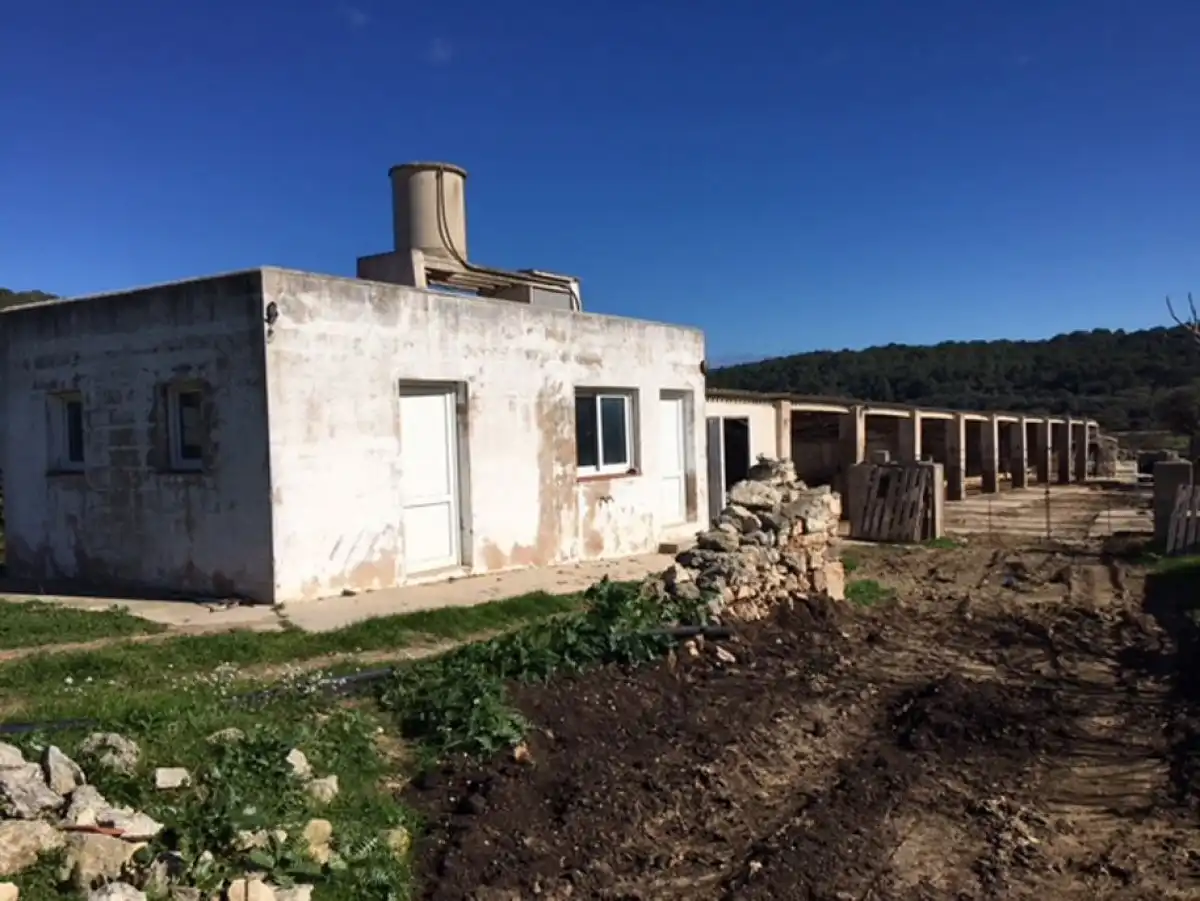 House for sale in Son Bou - Sant Jaume, imagen 26