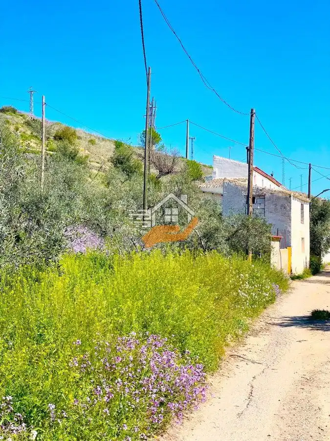 Finca rústica en venda en Vélez-Rubio