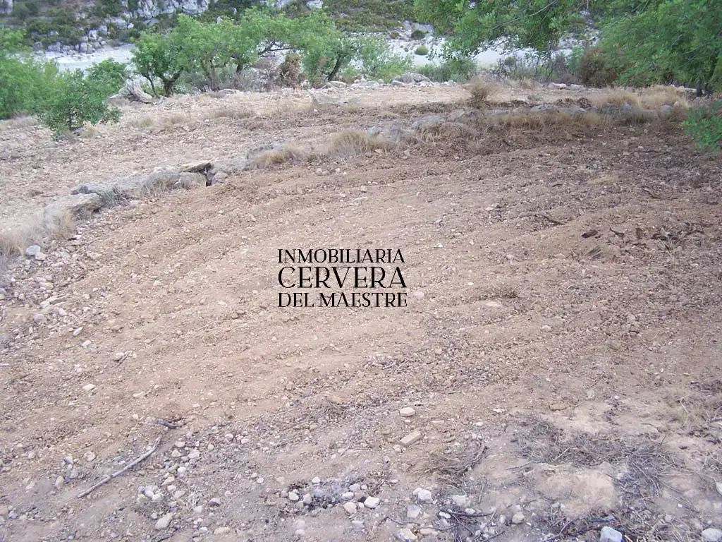 Terreno rustico in vendita a Cervera del Maestre, imagen 2