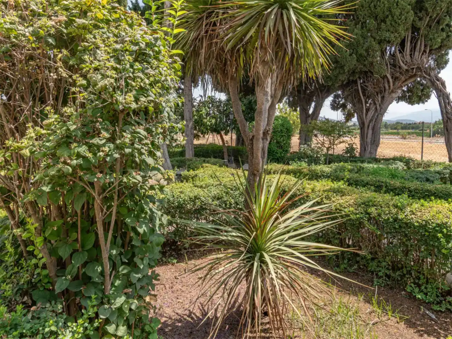 Jardín de Piso en venta en Granada con Jardín privado y Piscina