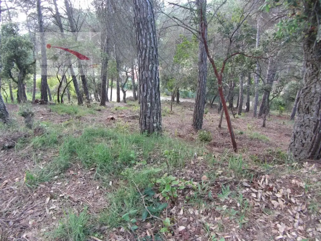 Residential land for sale in Llagostera, imagen 5