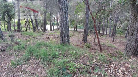 TERRENO DE 1.272m2 EN VENTA !, immagine 5