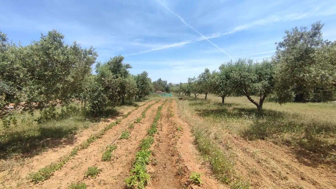 Terreno en venta en Torredembarra