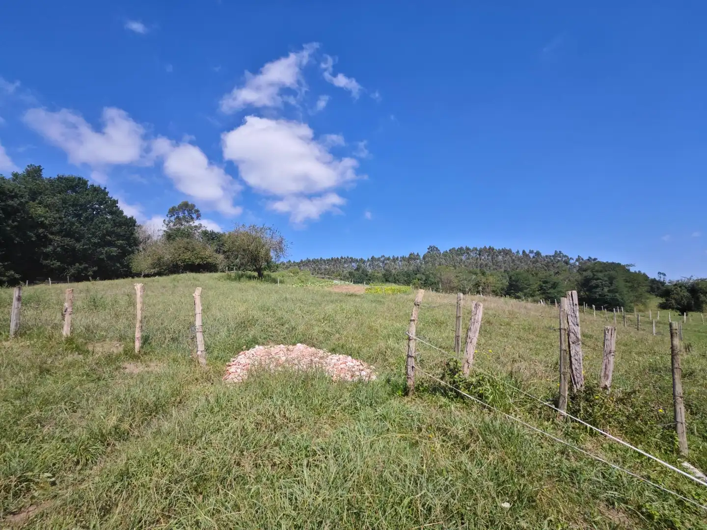 Residential land for sale in Mazcuerras, imagen 11