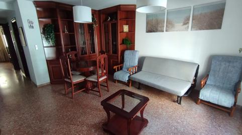 Foto 3 de Pis de lloguer a Paseo Marítimo - San José - La Laguna, Cádiz