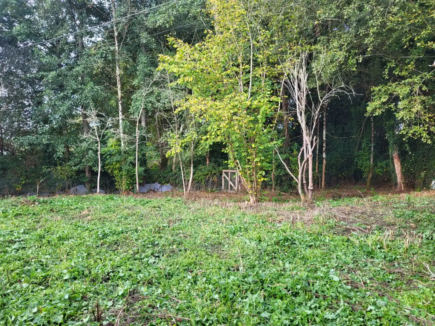 Terreno en venta en Vilalba