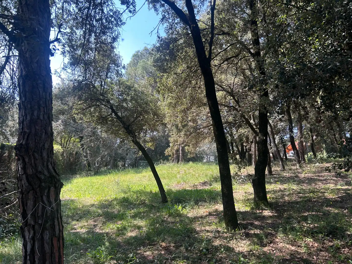 Residencial en venta en Sant Antoni de Vilamajor