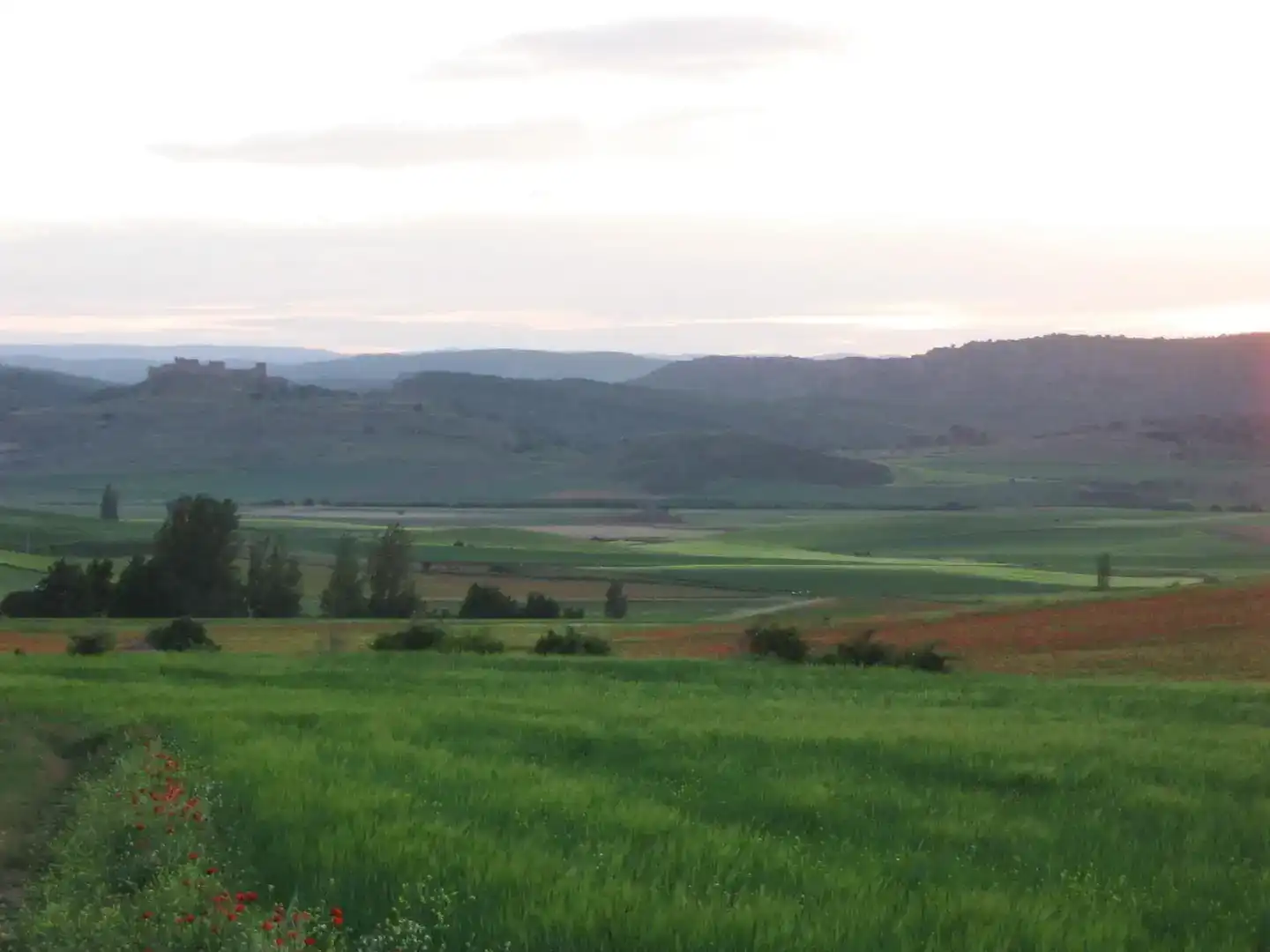 Finca rústica en venda en Sienes amb Balcó