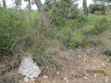 Terreny residencial en venda a Carrer Joan Miró