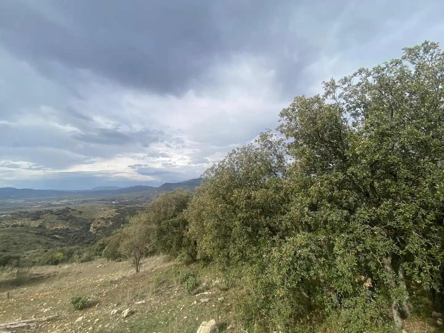Terreni e lotti in vendita a Alcalá la Real, imagen 41