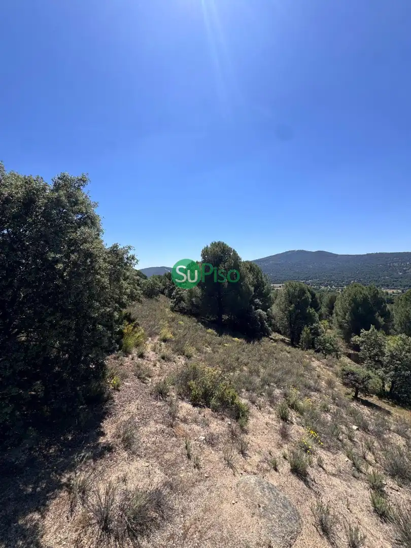 Casa o xalet en venda en San Martín de Valdeiglesias amb Jardí privat